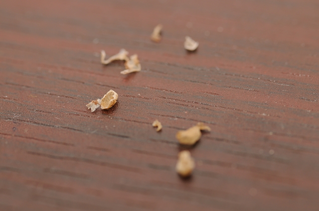 �E��s�S�̊k