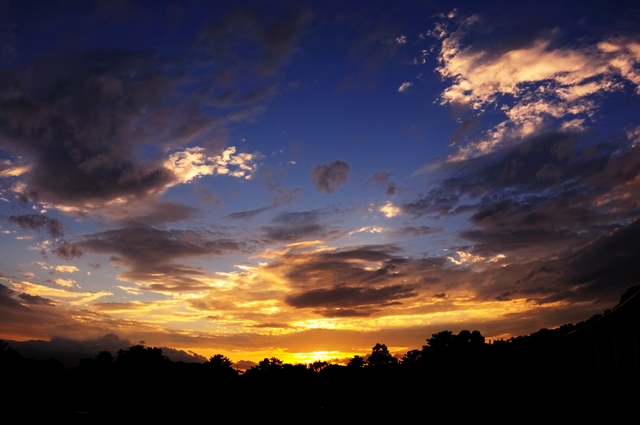 Tokina107�B�e��