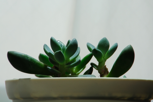 18-250OSHSM�]��