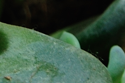 A09�L�p�g��