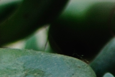 A09�]���g��