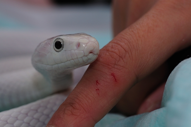 ���܂ꂽ��